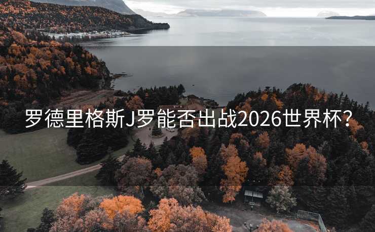 罗德里格斯J罗能否出战2026世界杯? 罗德里格斯J罗能否出战2026世界杯?